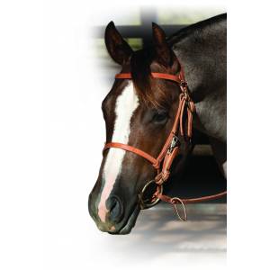 Schutz by Professionals Choice Trail Halter Bridle