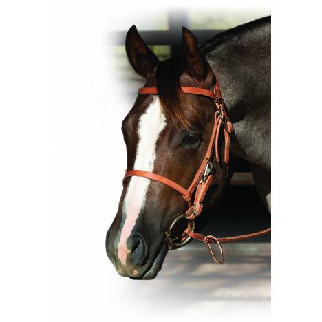 Schutz by Professionals Choice Trail Halter Bridle