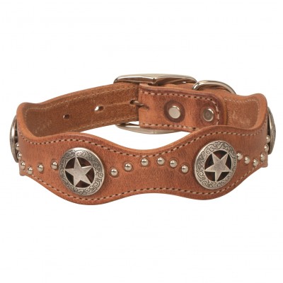 Weaver Texas Star Dog Collar