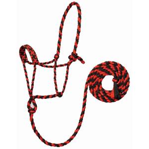Weaver Leather Braided Rope Halter with 10' Lead