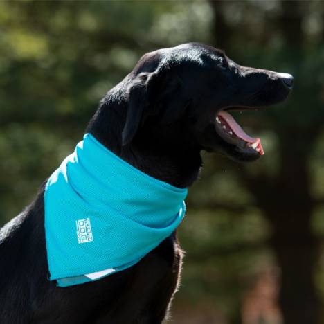 Weaver Leather Terrain D.O.G. Cooling Bandana