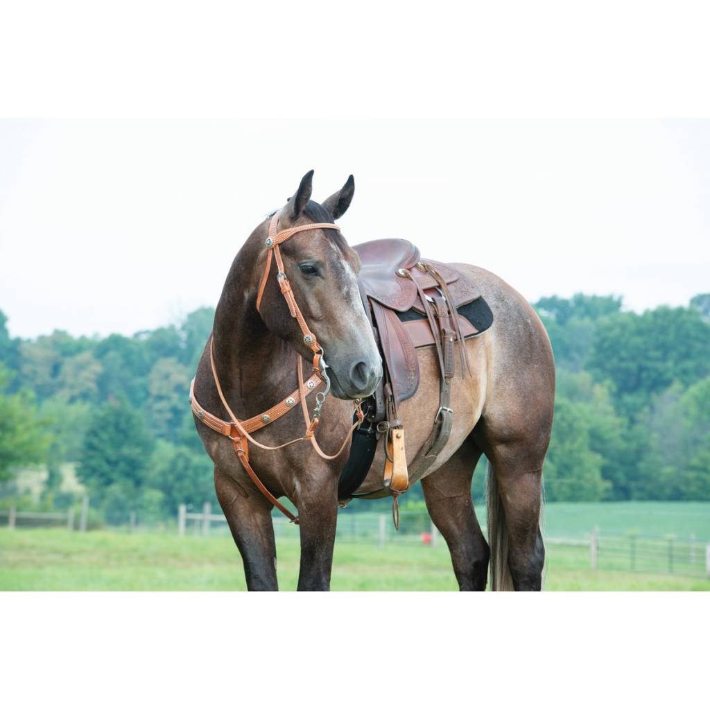 Weaver Leather Texas Star Multi-Concho Tapered BreastCollar