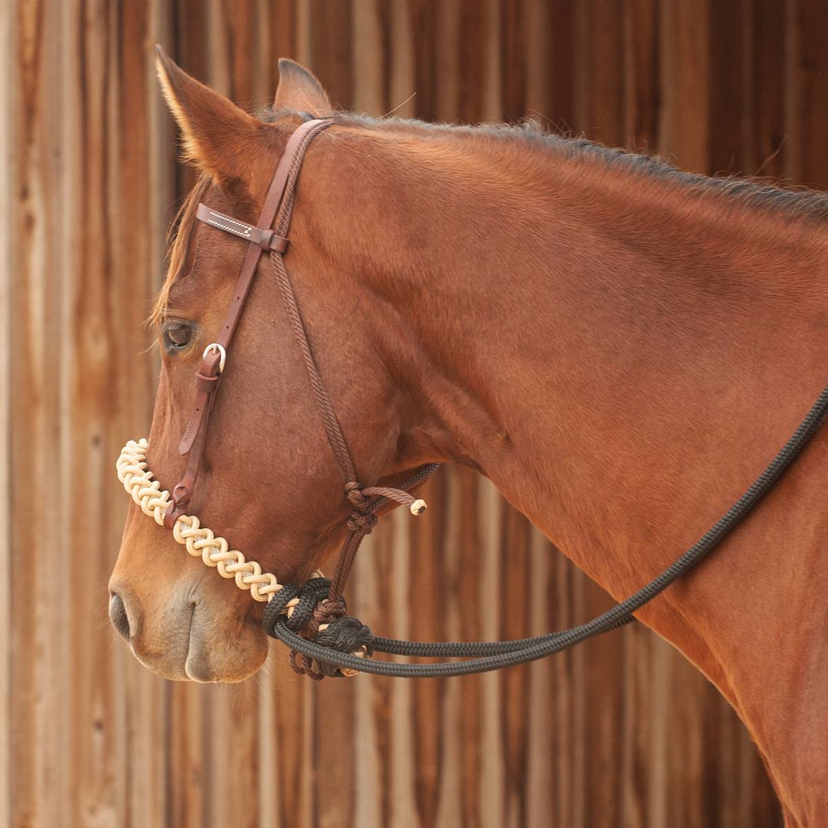 Martin Saddlery Nylon Loping Hackamore