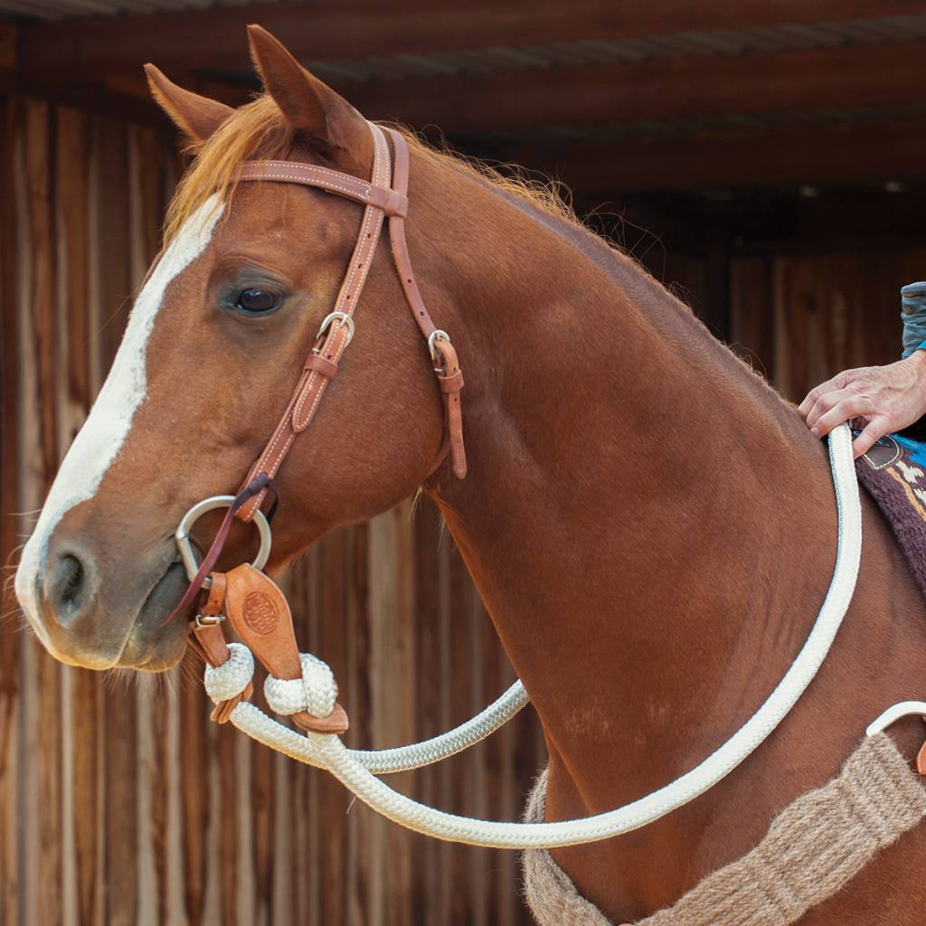 Martin Saddlery Colt Rein