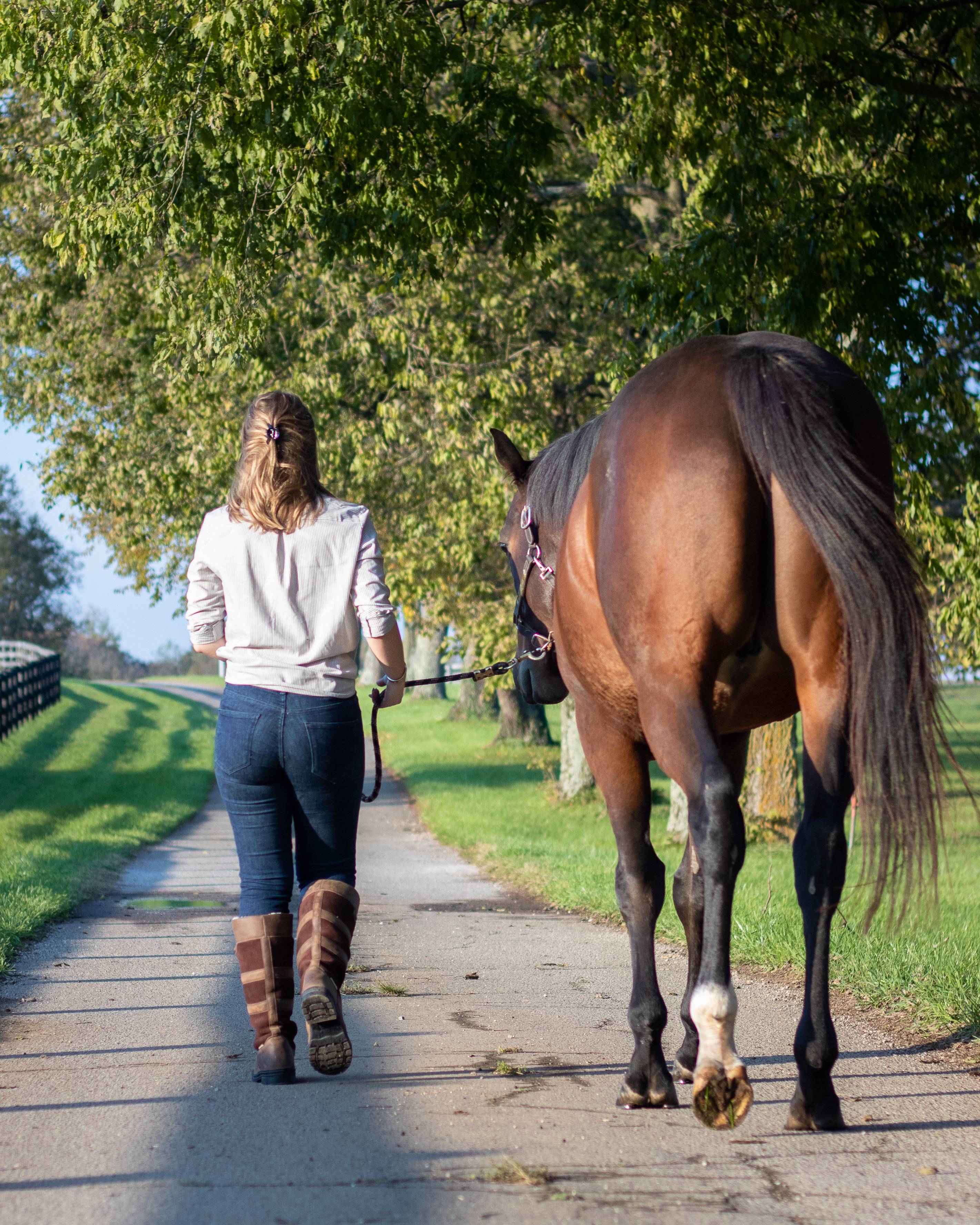 Ladies shop horse boots