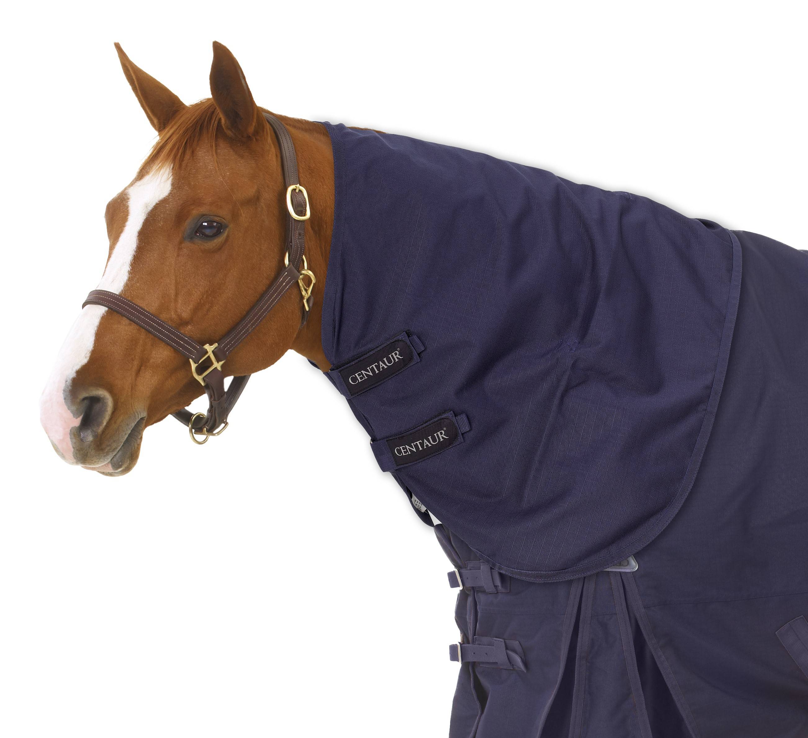 Centaur Horse Blankets | EquestrianCollections