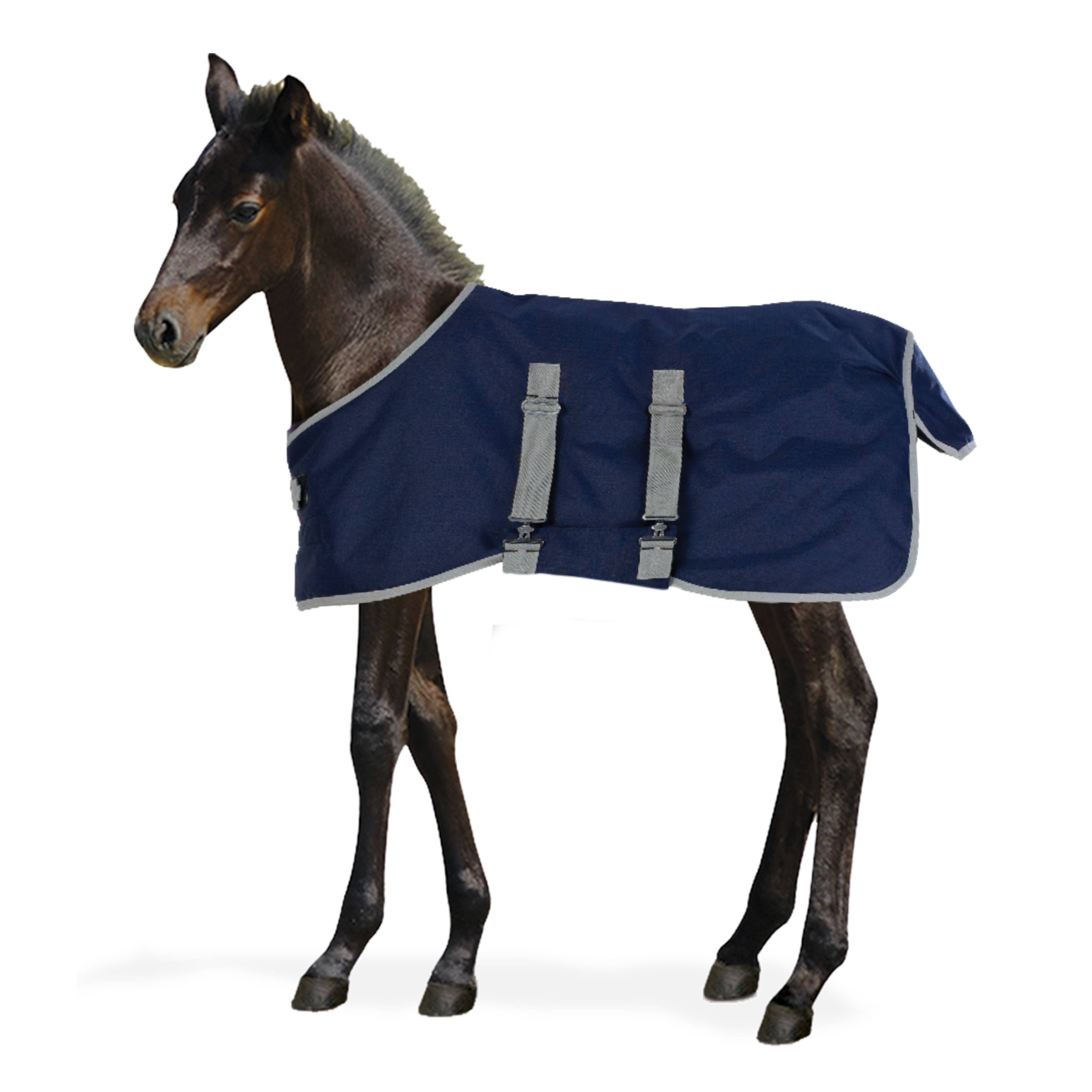 4-262562 Centaur 600D Foal Turnout Blanket- 200g sku 4-262562