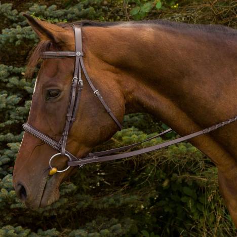 HDR Fancy Raised Padded Bridle