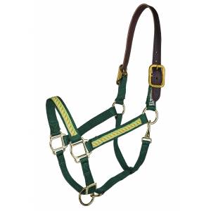 Perri's Ribbon Safety Halter - Made in the USA- Carrots