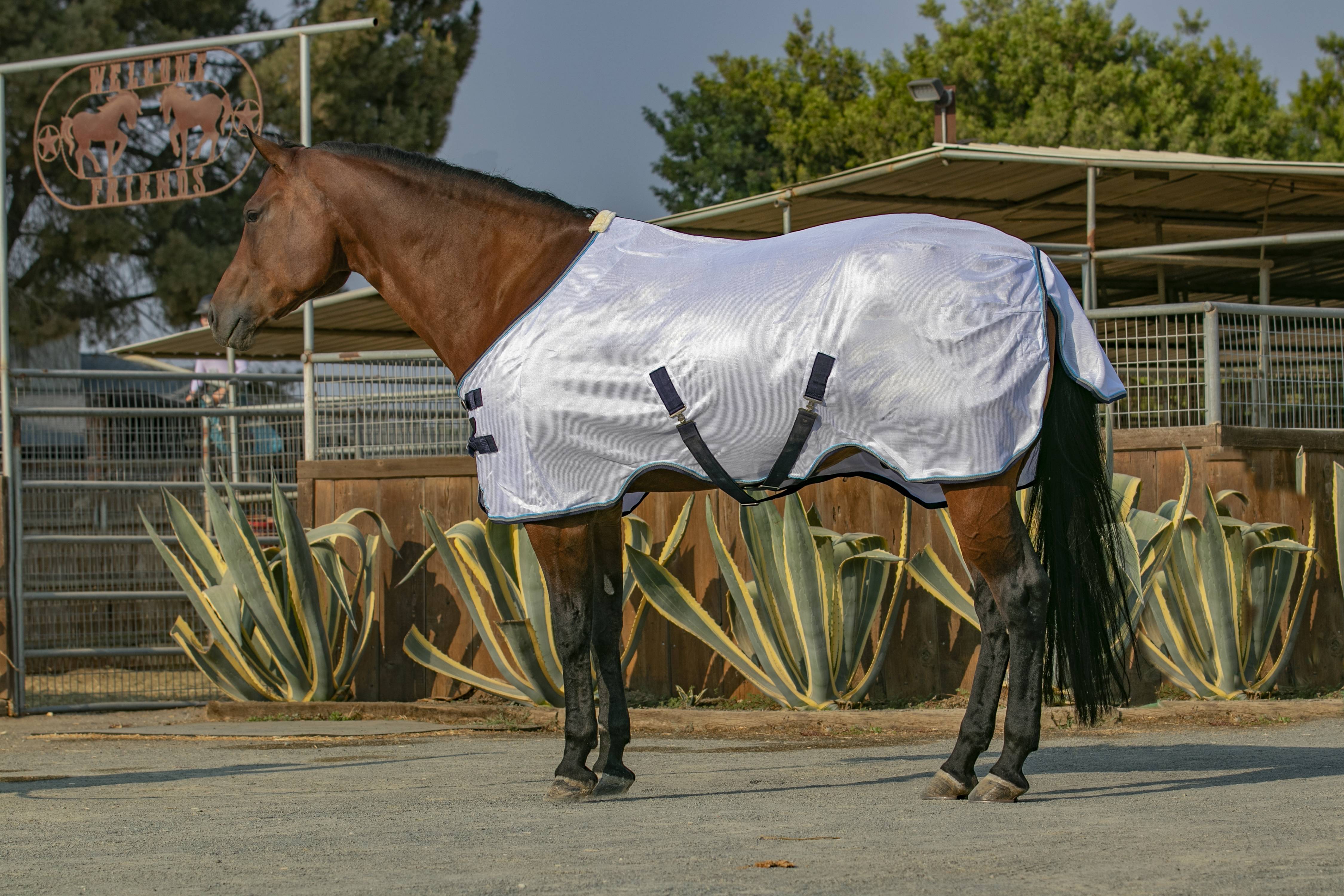 Lightweight Durable & Breathable Day Sheets Kensington Products Egyptian Cotton Horse Stable Blanket 
