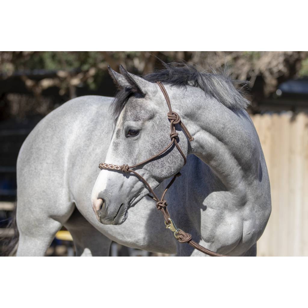 Kensington Clinician Rope Halter