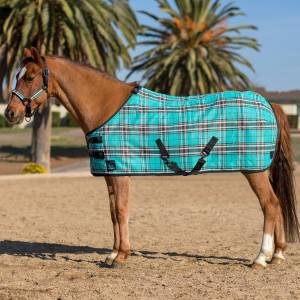 Kensington Pony Protective Fly Sheet with Criss-Cross Belly Straps