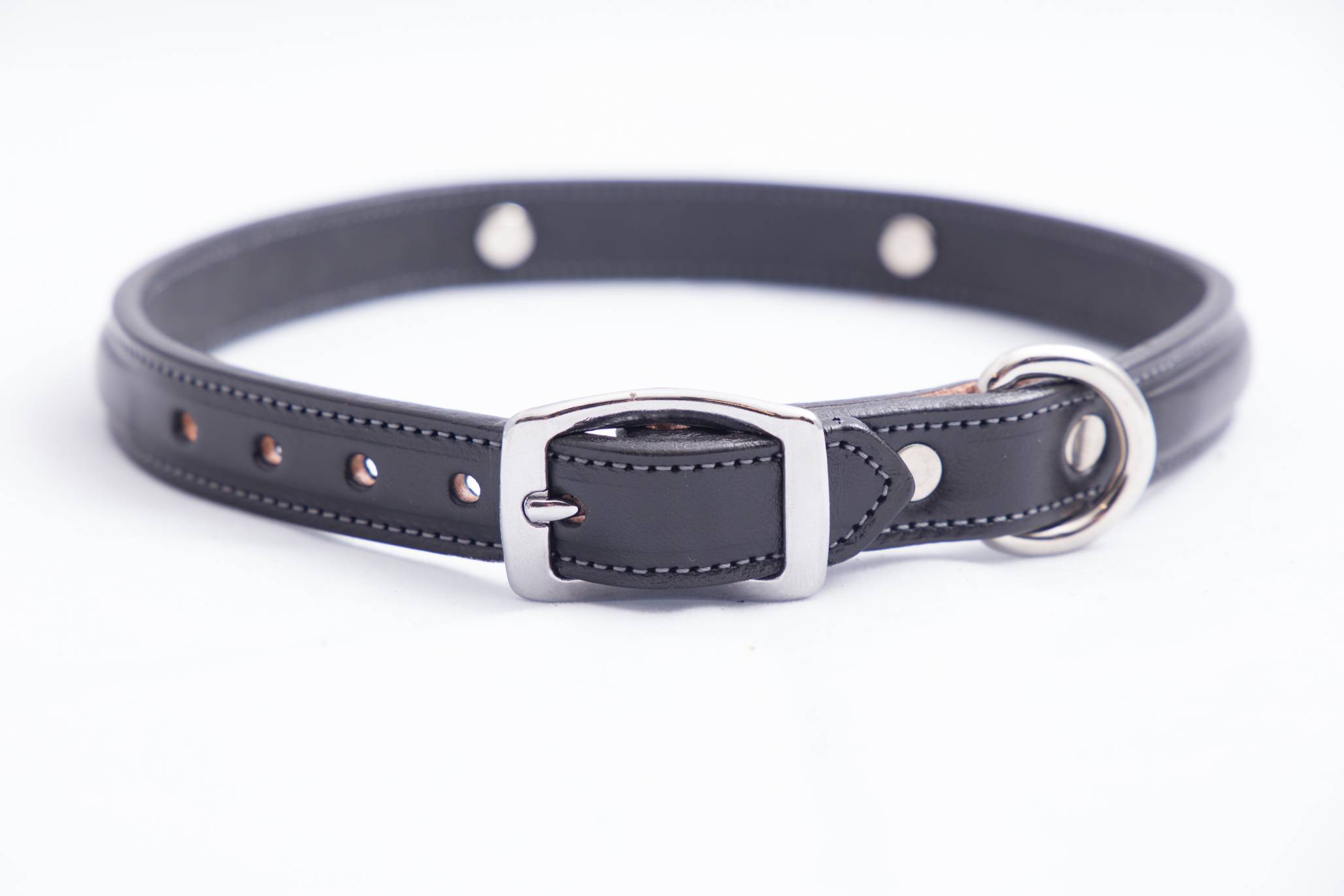 Tory Leather Raised Dog Collar with Nickel Bit