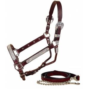 Tory Leather Pecos Bill Silver Show Halter with Lead