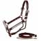 Tory Leather Pecos Bill Silver Show Halter w/Lead