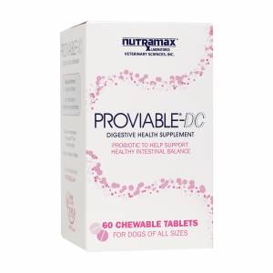 Nutramax Proviable-DC Digestive Health Supplement for Dogs