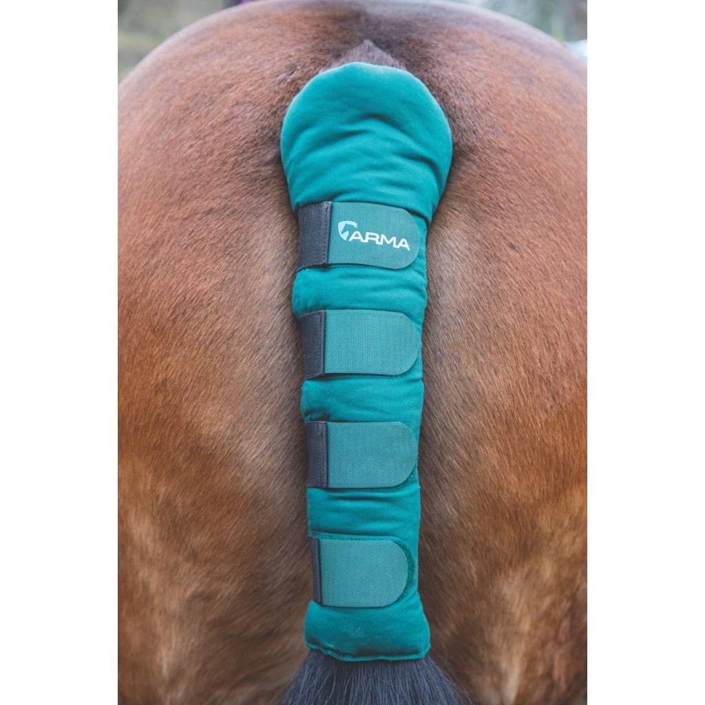 Shires Padded Tail Guard