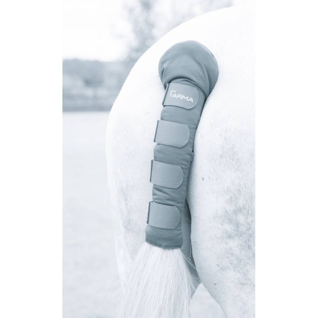 Shires Padded Tail Guard