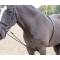 Shires Soft Lunging Aid