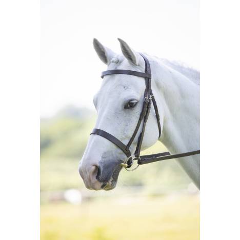 Shires Velociti Hunter Bridle