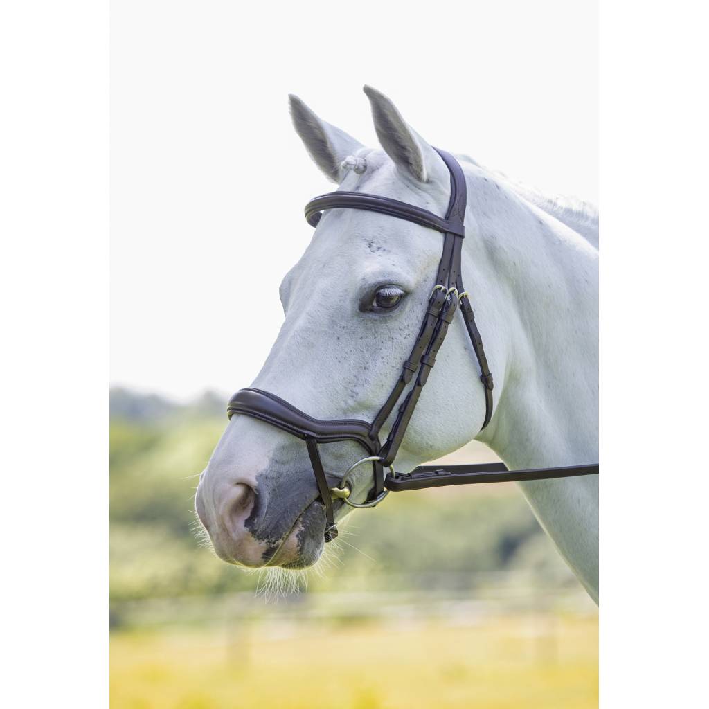 Shires Velociti Ergonomic Flash Bridle