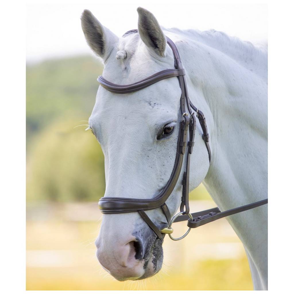 Shires Velociti Ergonomic Curved Flash Bridle