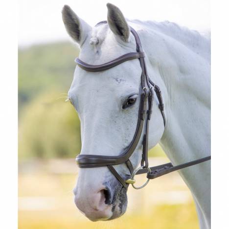 Shires Velociti Ergonomic Curved Flash Bridle