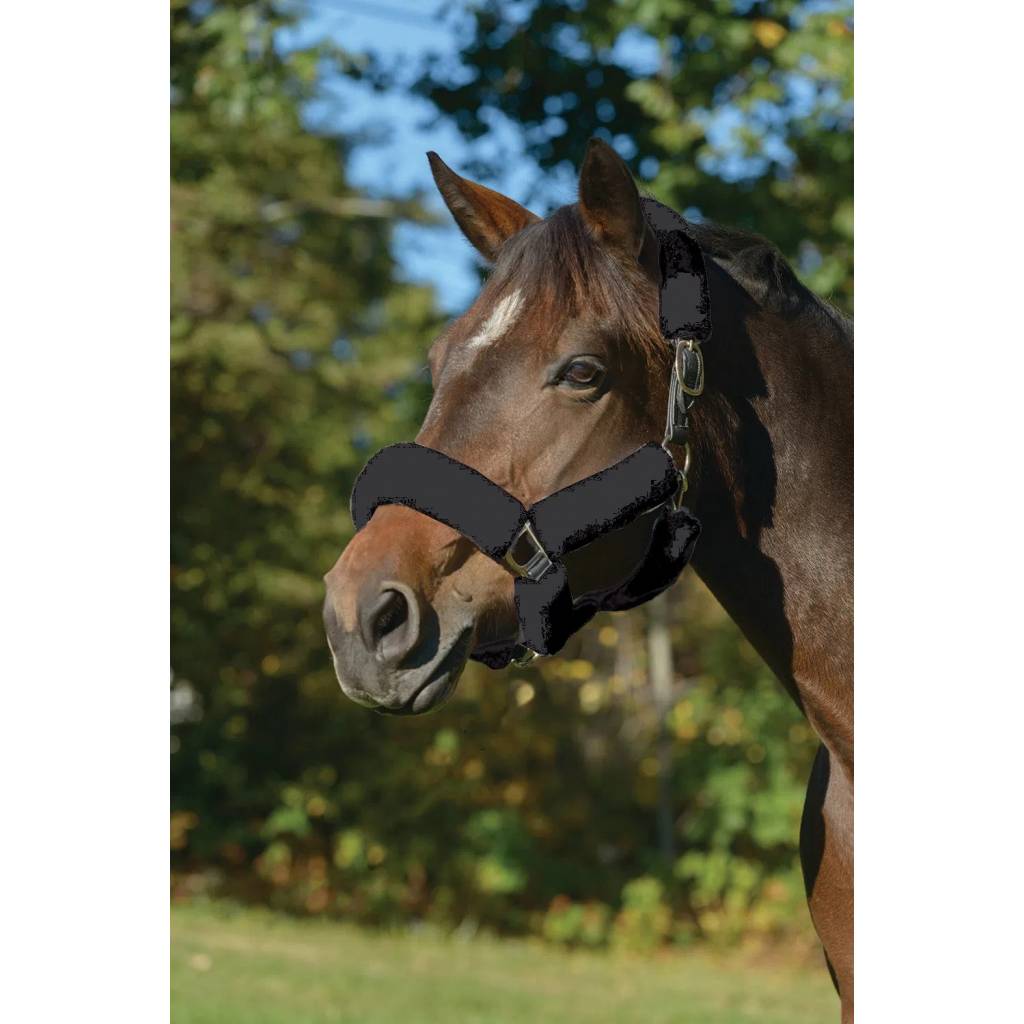 Shires Supafleece Halter Set