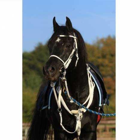 Zilco Ultra Lightweight Endurance Bridle