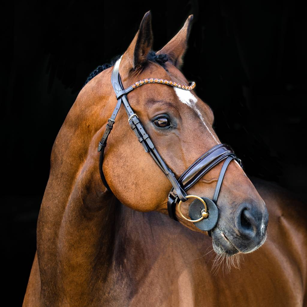 Horze Clermont Ergonomic Crystal Bridle