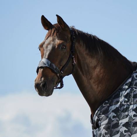 Horze Limited Edition Halter with Camouflage Print