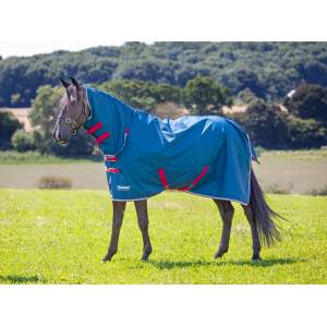 Shires Tempest Original Lite Turnout Combo
