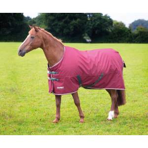 Shires Tempest Original 200 Turnout Blanket