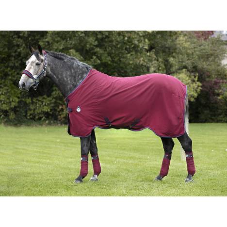 Rambo Helix Stable Sheet- Disc Front Closure