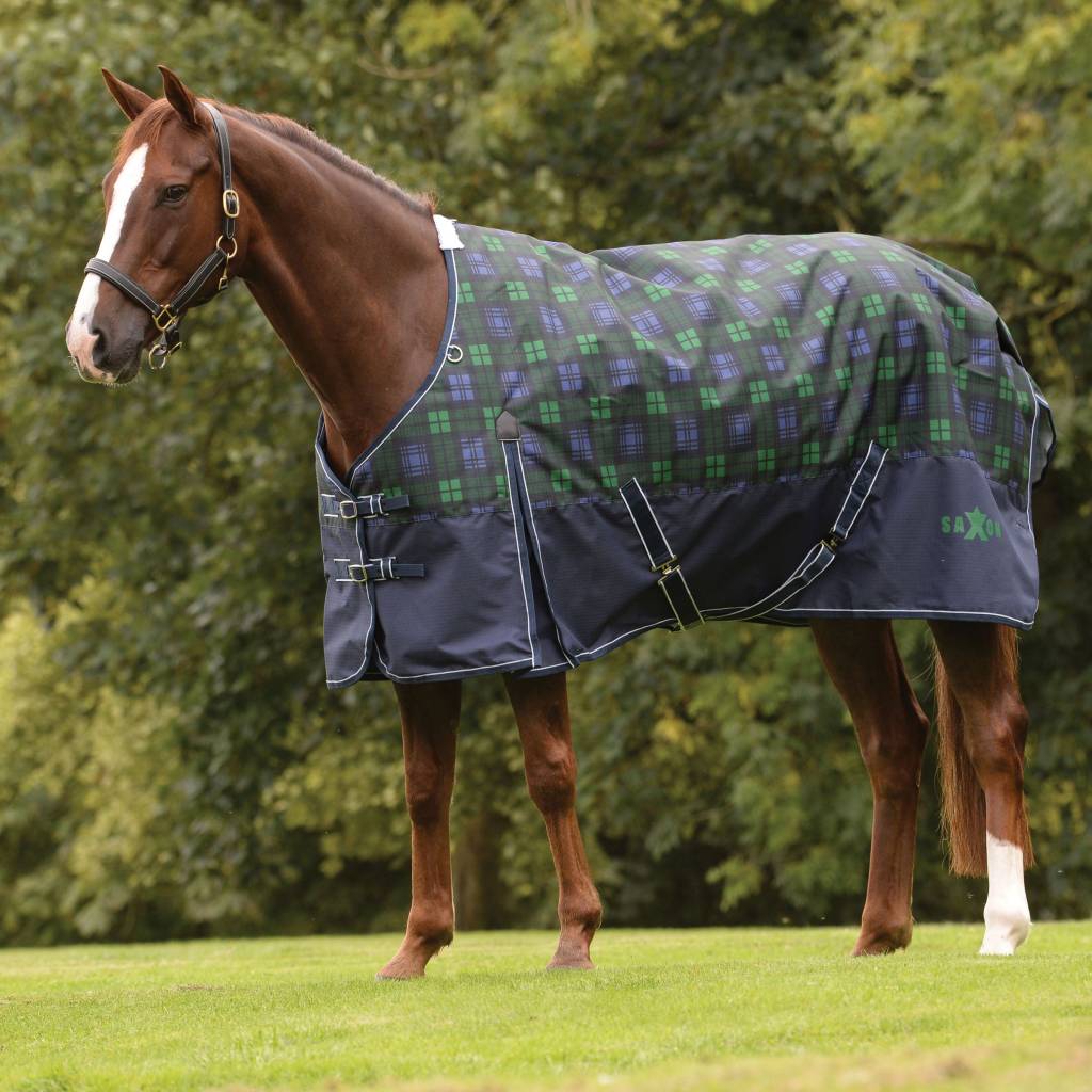 Saxon 1200D With Gusset Standard Neck Medium Weight II Turnout Blanket