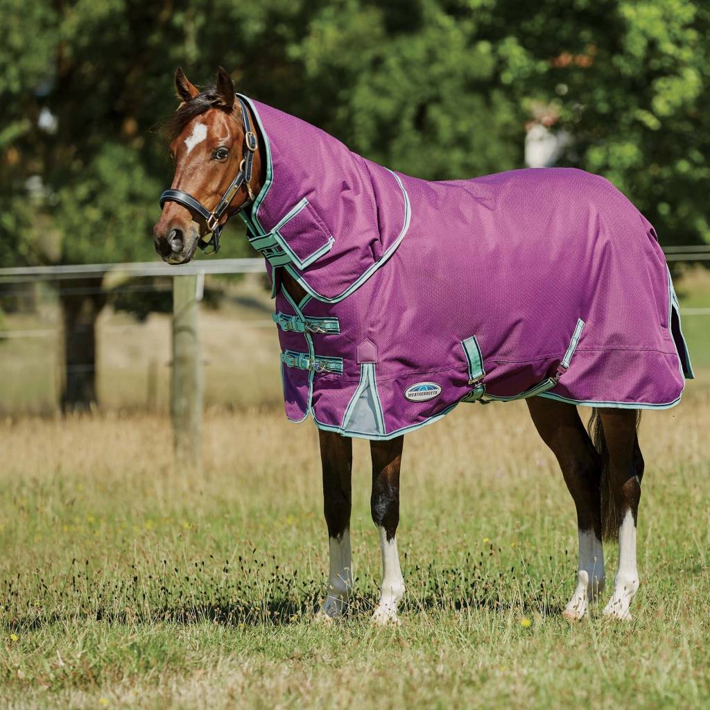 Weatherbeeta ComFiTec Premier Freedom Pony Detach-A-Neck Lite Turnout