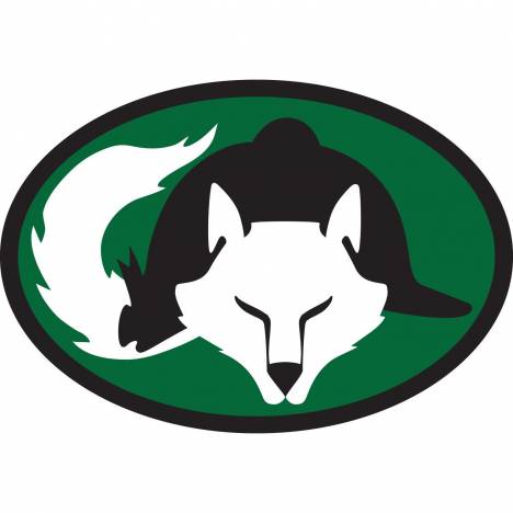 Euro Fox & Helmet Vinyl Stickers - Set Of 3