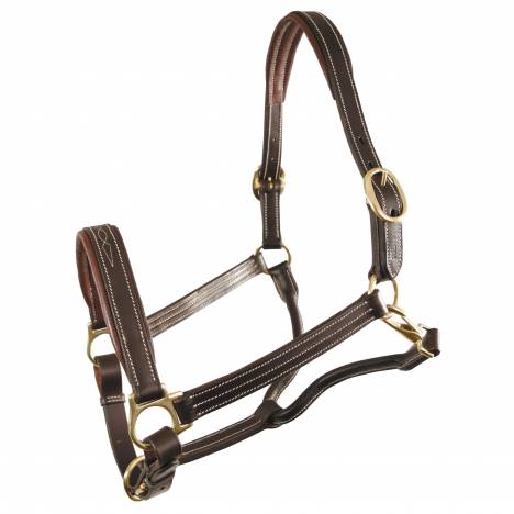 Jamestown Premium Padded 1" Halter