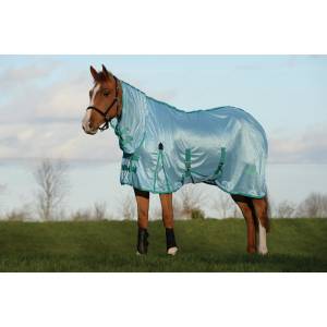 Saxon Mesh With Gusset Belly Wrap Combo Neck Turnout