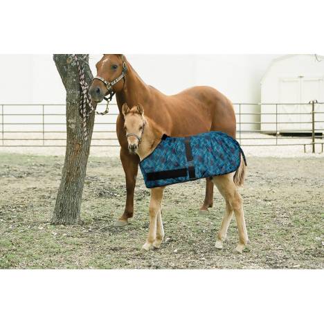 Kensington Signature Adjustable Foal Turnout Blanket