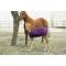 Kensington Signature Adjustable Foal Turnout Blanket