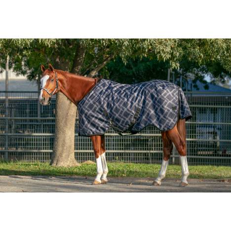 Kensington Signature Pony Medium Weight Turnout Blanket