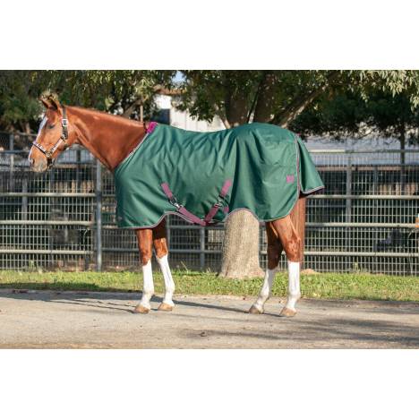 Kensington Signature Waterproof & Breathable Turnout Sheet