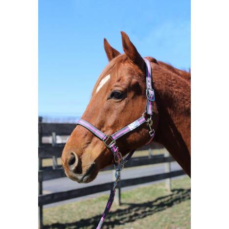 TuffRider Nylon Breakaway Halter & Lead Rope Set