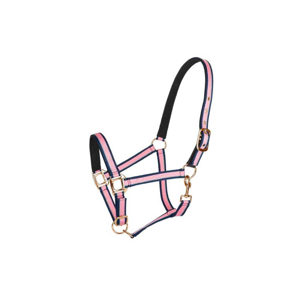 TuffRider Adjustable Nylon Breakaway Halter with Padded Crown And Rose Gold Hardware