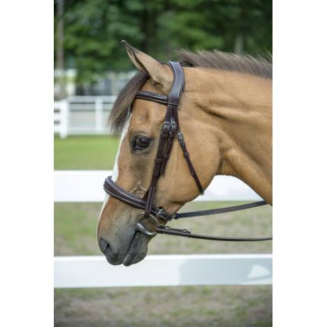 Henri de Rivel Pro Mono-Crown Padded Wide Noseband Bridle