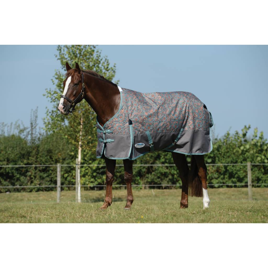 Weatherbeeta ComFiTec Essential Standard Neck Medium Turnout Blanket