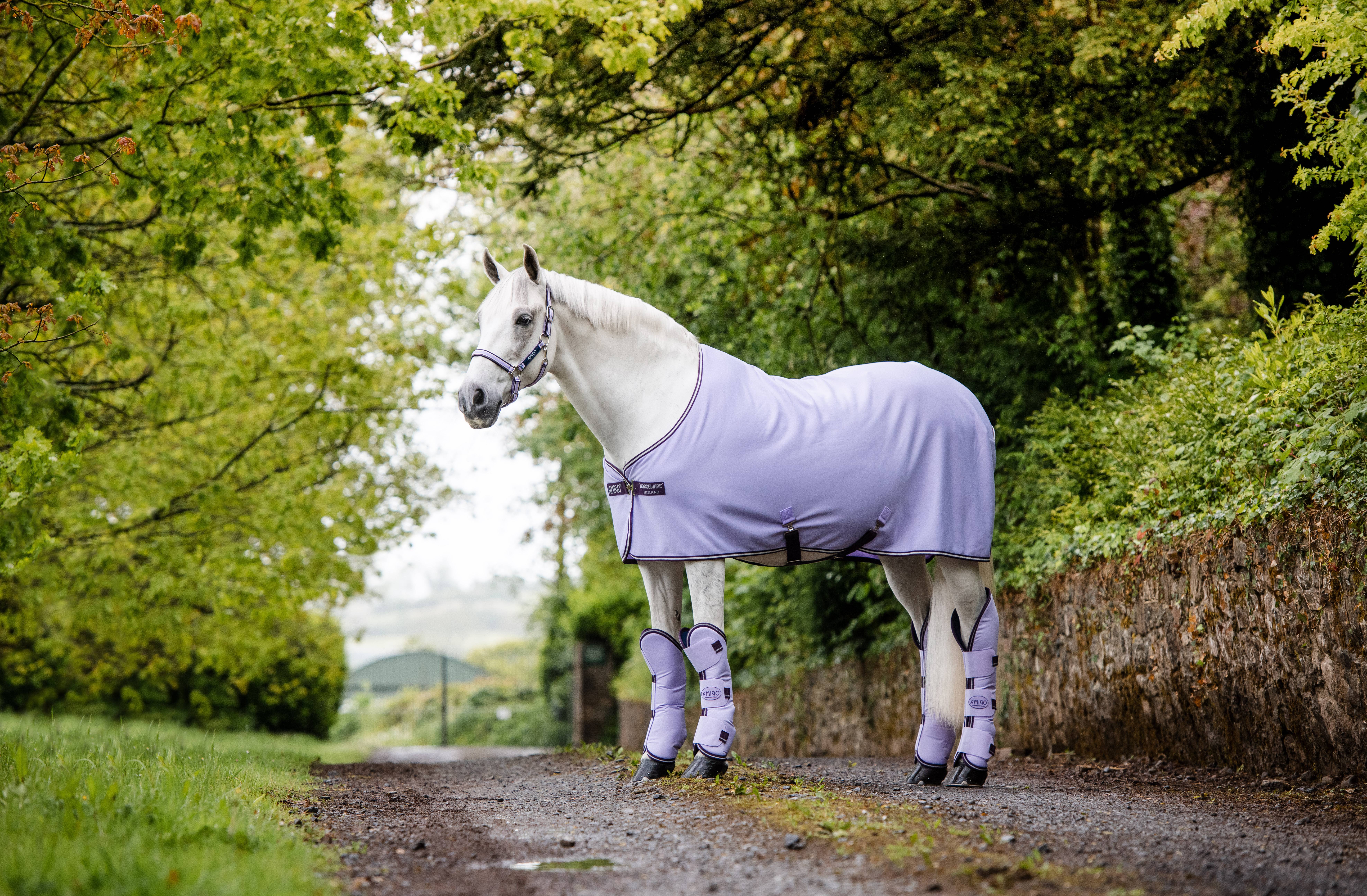 Amigo Jersey Cooler - 2014