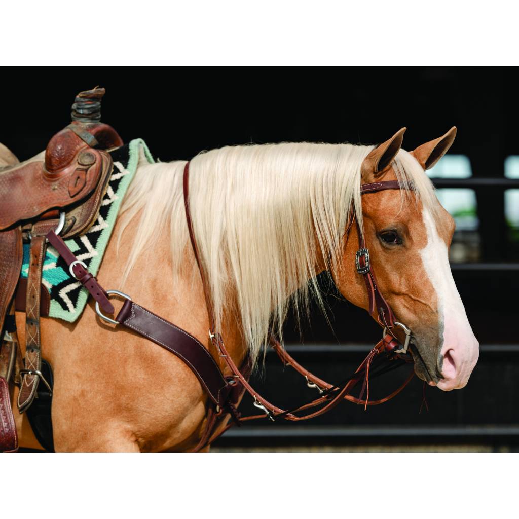 Professionals Choice Single Rein German Martingale