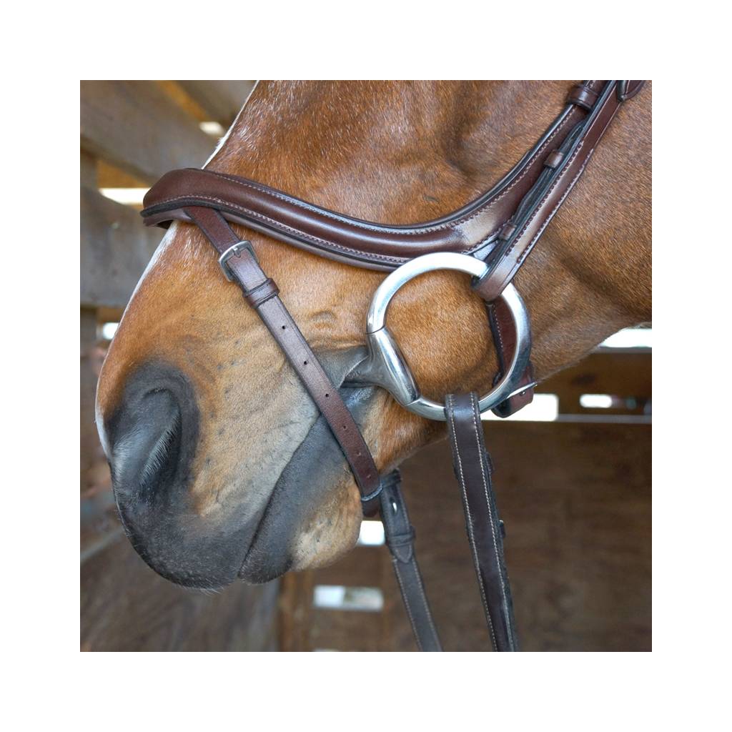 Nunn Finer Aforma Flash Bridle